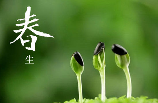 1584494435276878.png 图片1.png